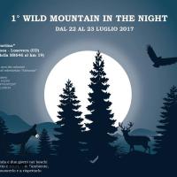 primowildmountaintinthenight