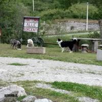 incontro tra pastori